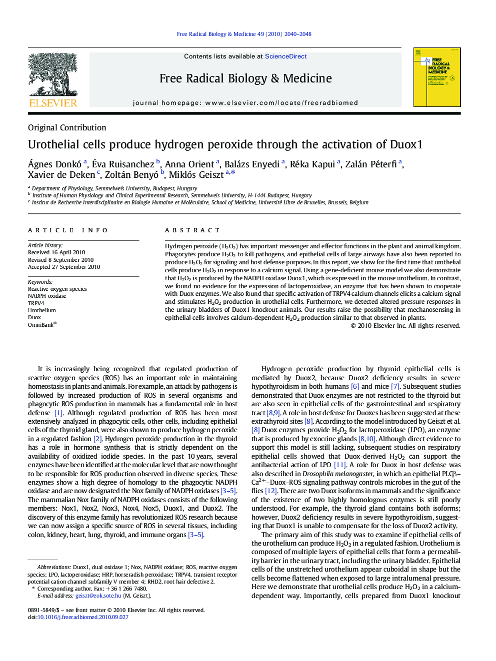 Urothelial cells produce hydrogen peroxide through the activation of Duox1