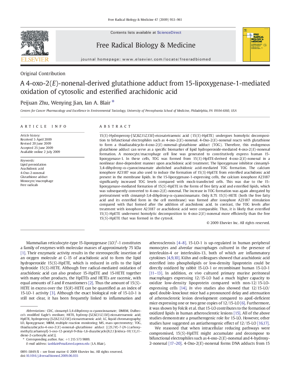 A 4-oxo-2(E)-nonenal-derived glutathione adduct from 15-lipoxygenase-1-mediated oxidation of cytosolic and esterified arachidonic acid