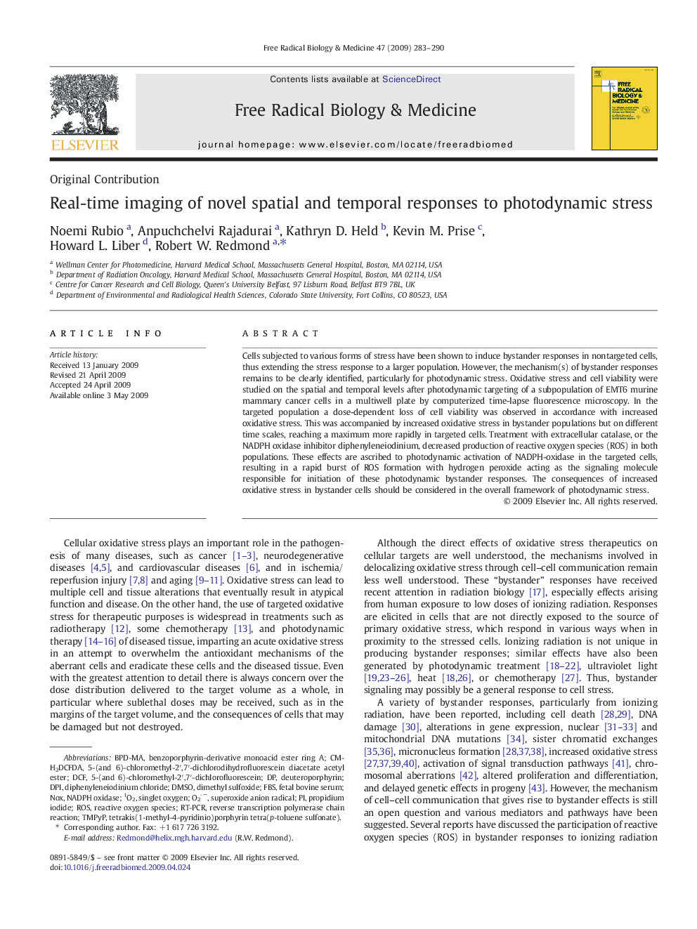 Real-time imaging of novel spatial and temporal responses to photodynamic stress