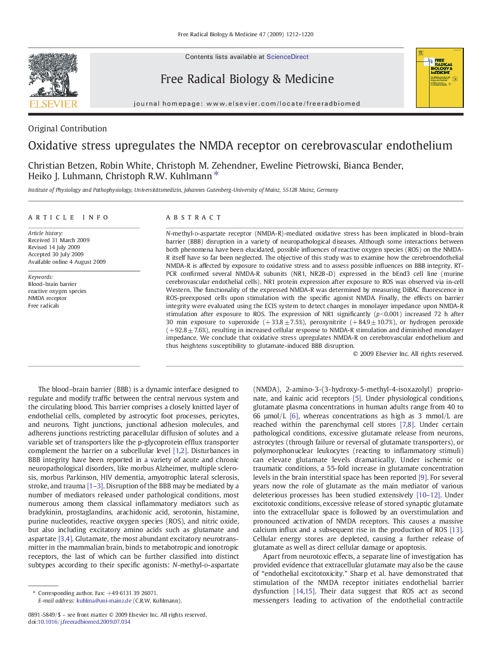 Oxidative stress upregulates the NMDA receptor on cerebrovascular endothelium