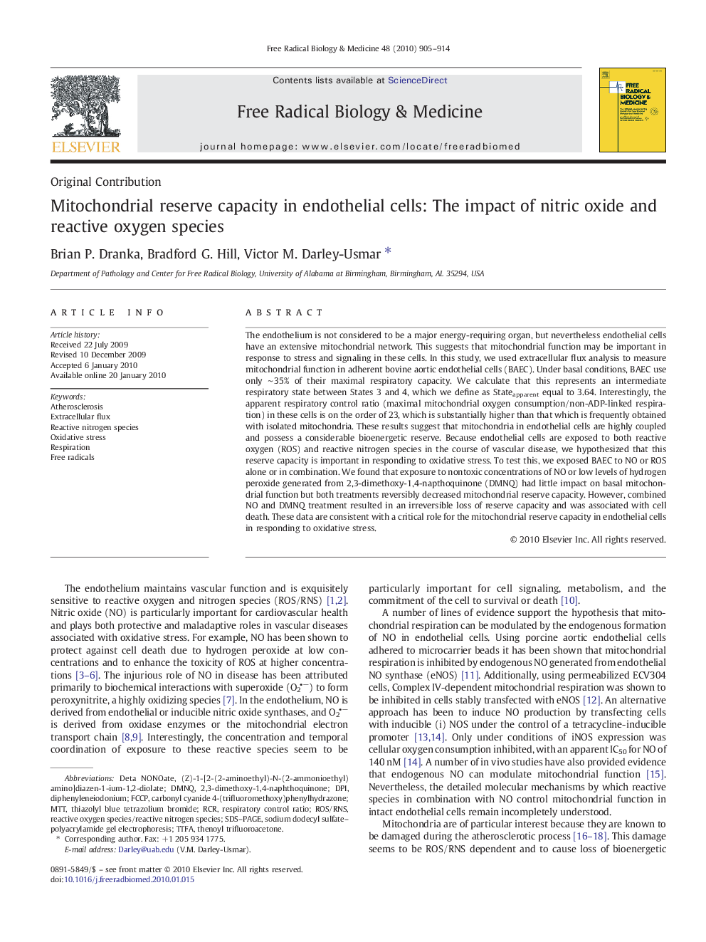 Mitochondrial reserve capacity in endothelial cells: The impact of nitric oxide and reactive oxygen species