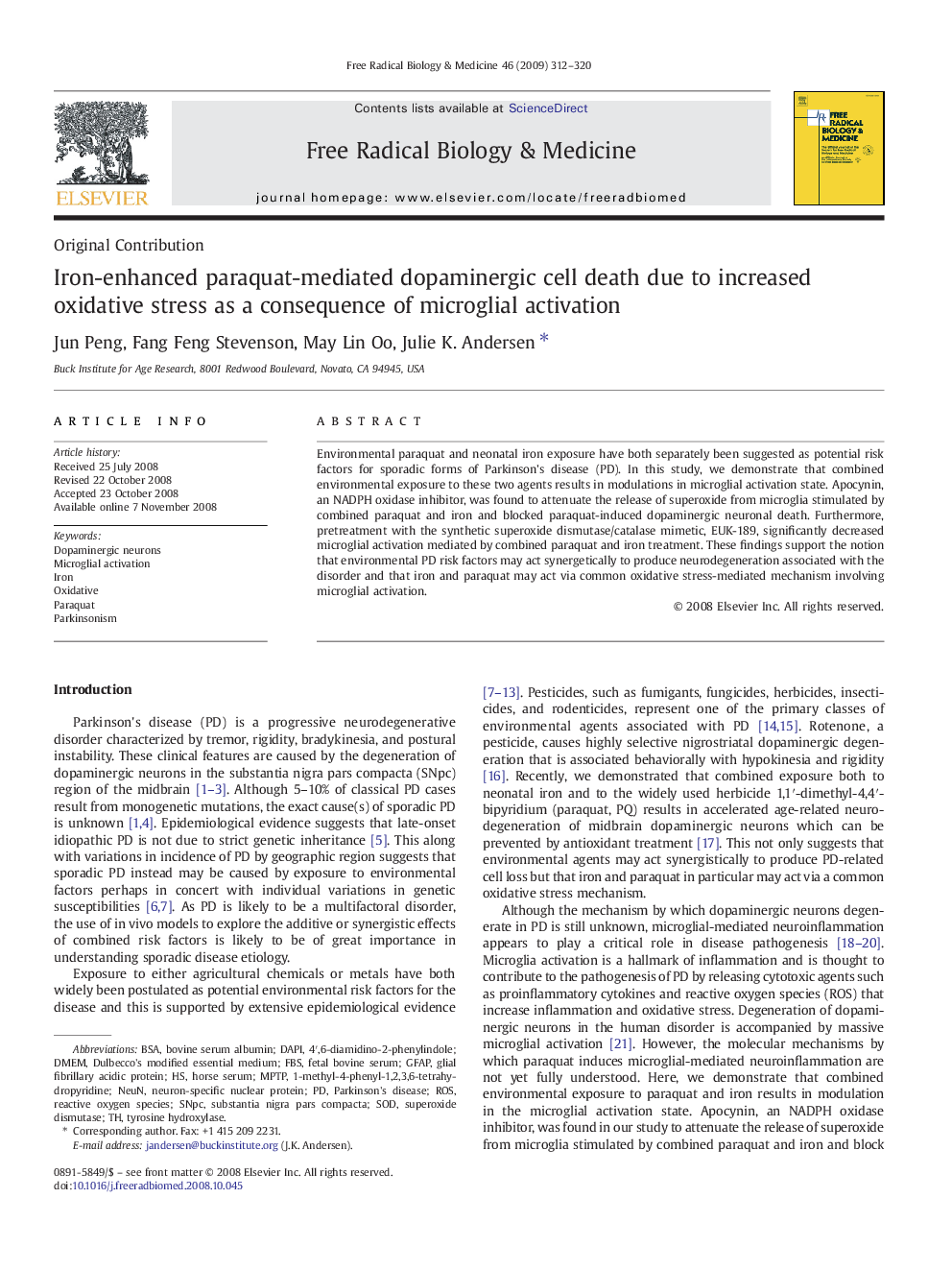 Iron-enhanced paraquat-mediated dopaminergic cell death due to increased oxidative stress as a consequence of microglial activation