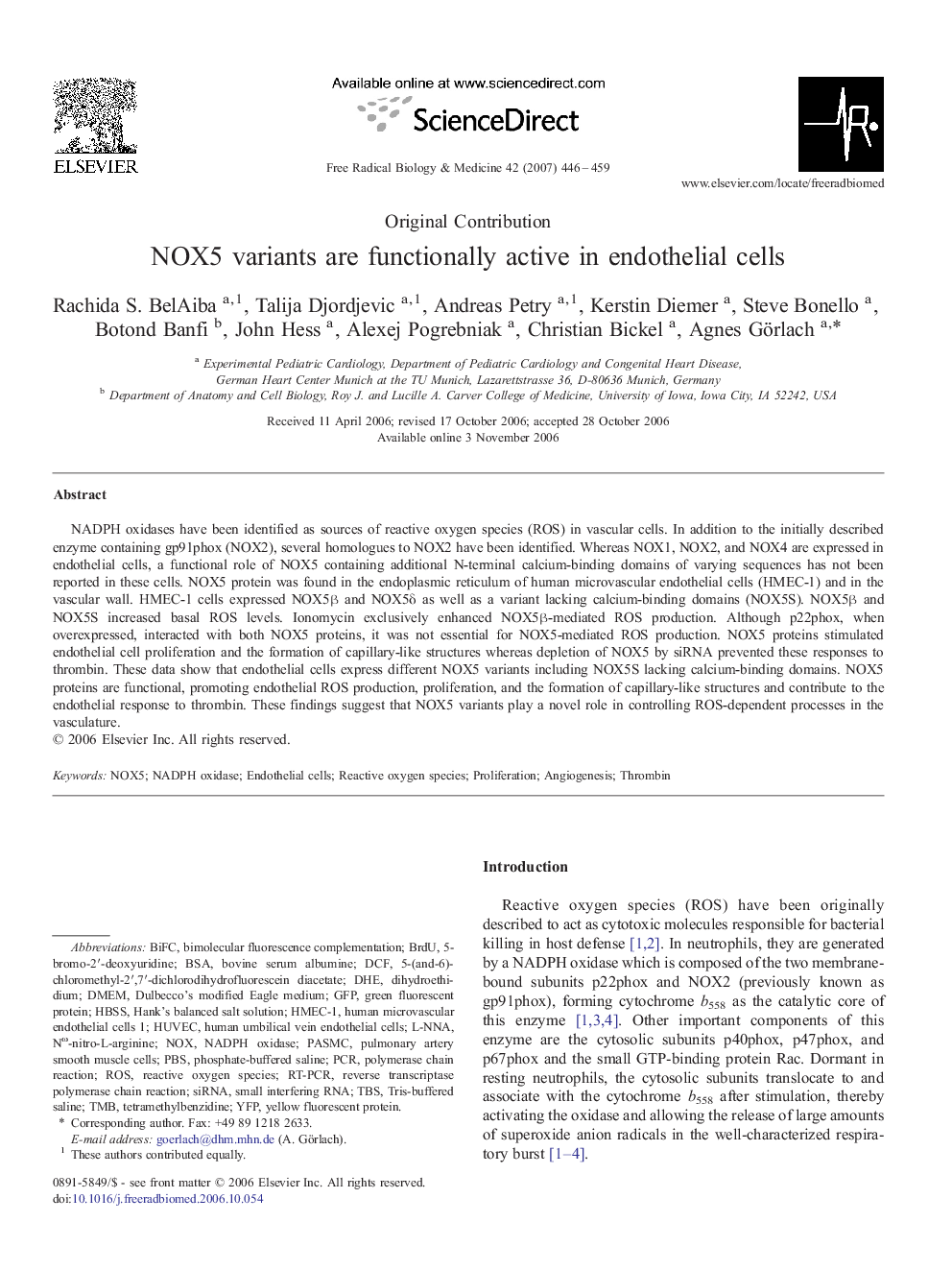 NOX5 variants are functionally active in endothelial cells