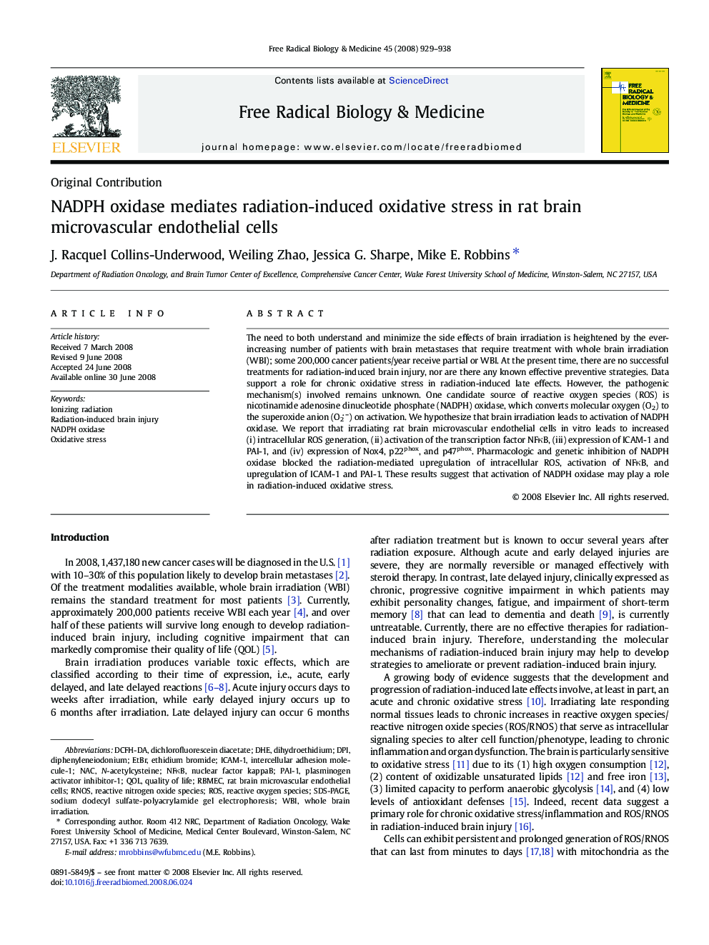 NADPH oxidase mediates radiation-induced oxidative stress in rat brain microvascular endothelial cells