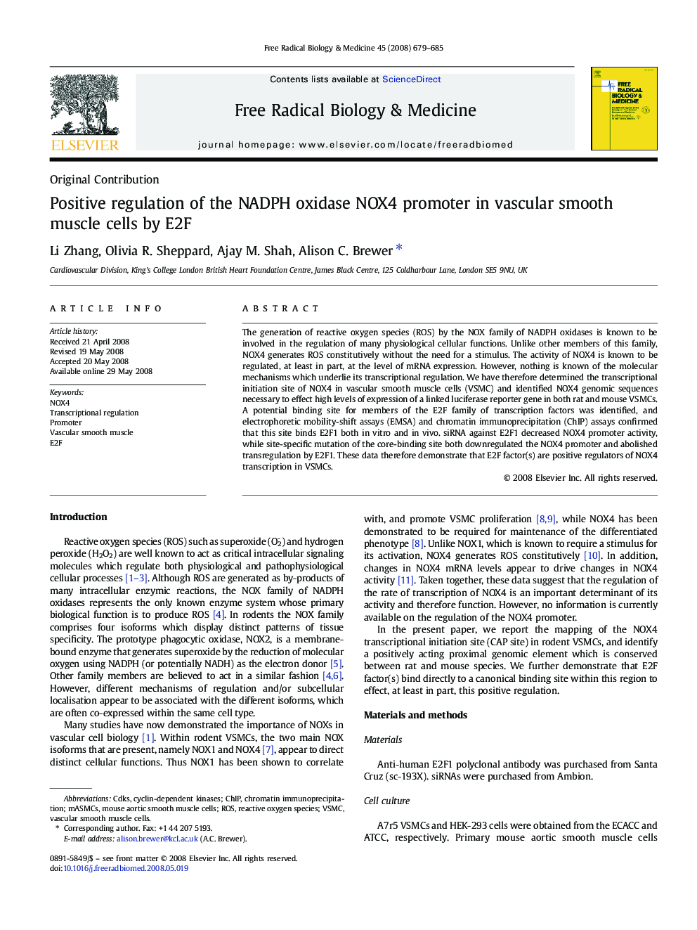 Positive regulation of the NADPH oxidase NOX4 promoter in vascular smooth muscle cells by E2F