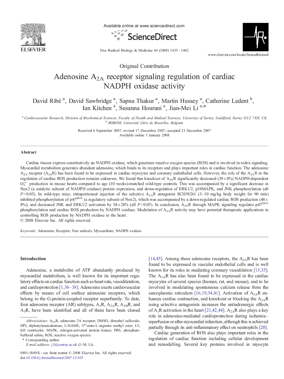 Adenosine A2A receptor signaling regulation of cardiac NADPH oxidase activity