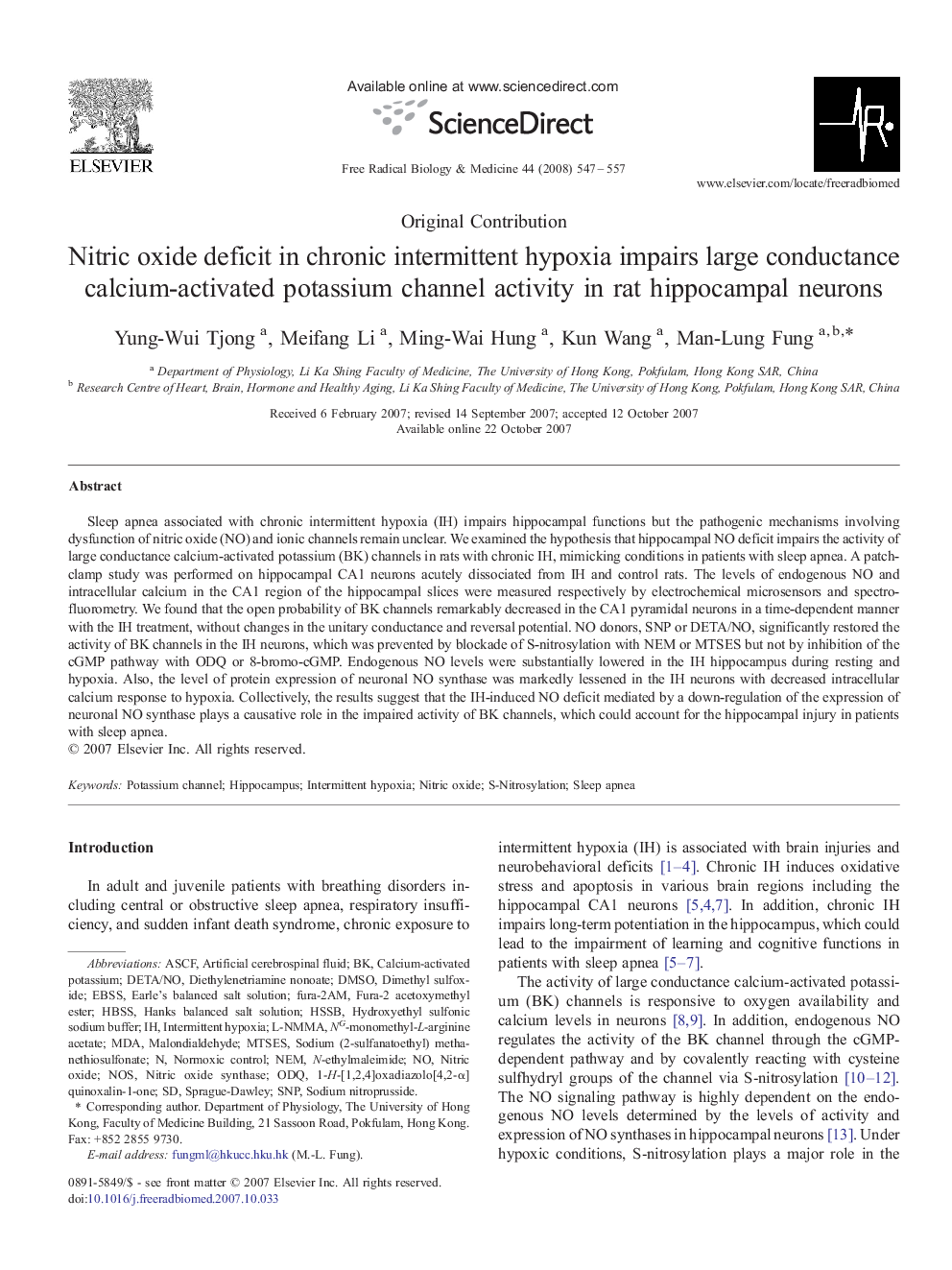 Nitric oxide deficit in chronic intermittent hypoxia impairs large conductance calcium-activated potassium channel activity in rat hippocampal neurons