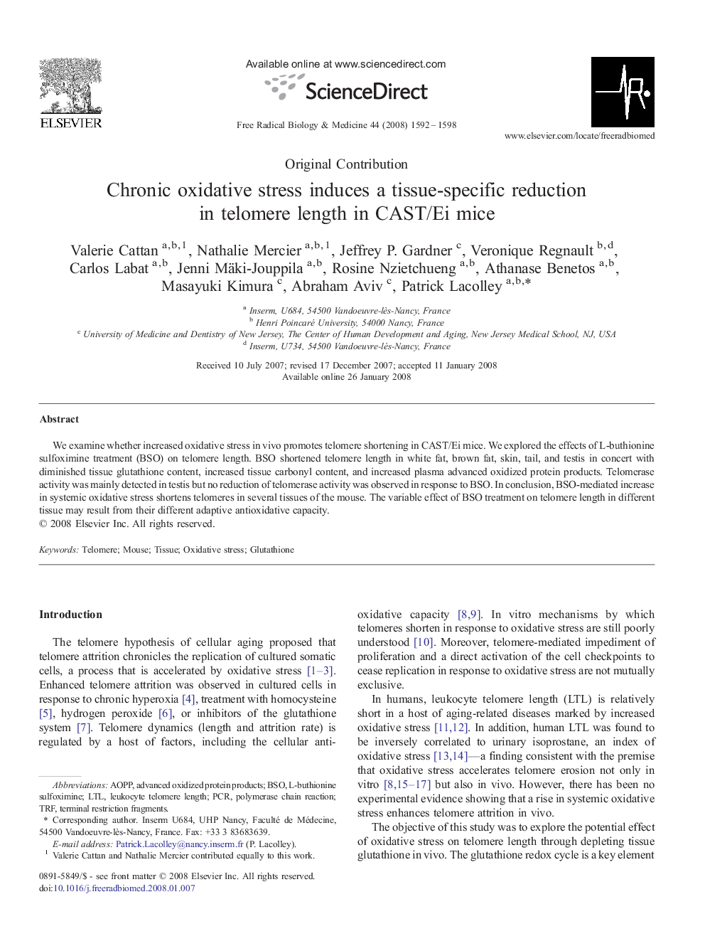 Chronic oxidative stress induces a tissue-specific reduction in telomere length in CAST/Ei mice