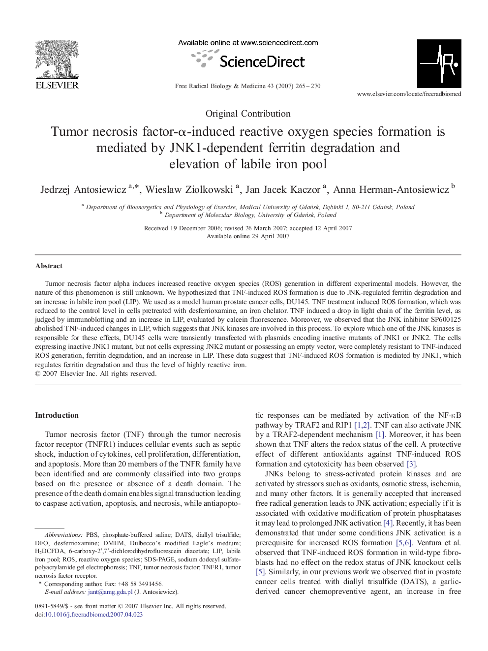 Tumor necrosis factor-α-induced reactive oxygen species formation is mediated by JNK1-dependent ferritin degradation and elevation of labile iron pool