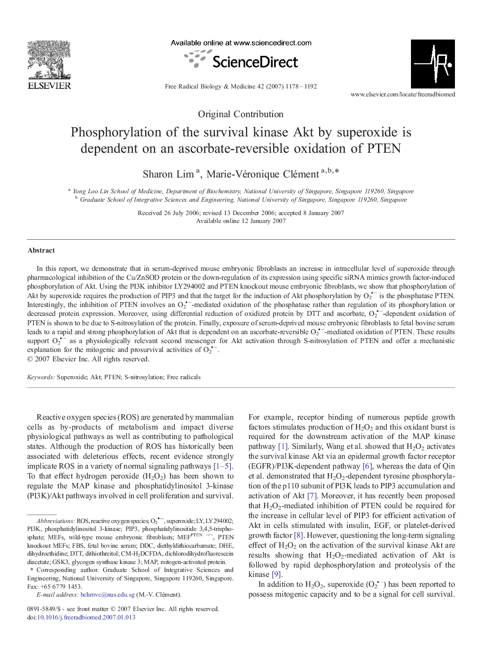 Phosphorylation of the survival kinase Akt by superoxide is dependent on an ascorbate-reversible oxidation of PTEN