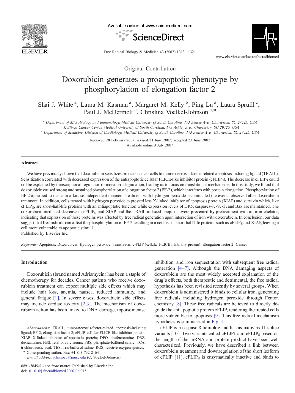 Doxorubicin generates a proapoptotic phenotype by phosphorylation of elongation factor 2