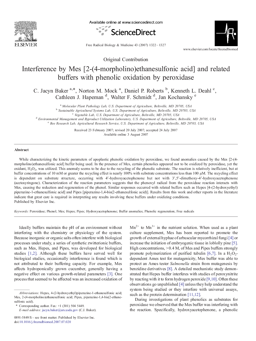 Interference by Mes [2-(4-morpholino)ethanesulfonic acid] and related buffers with phenolic oxidation by peroxidase