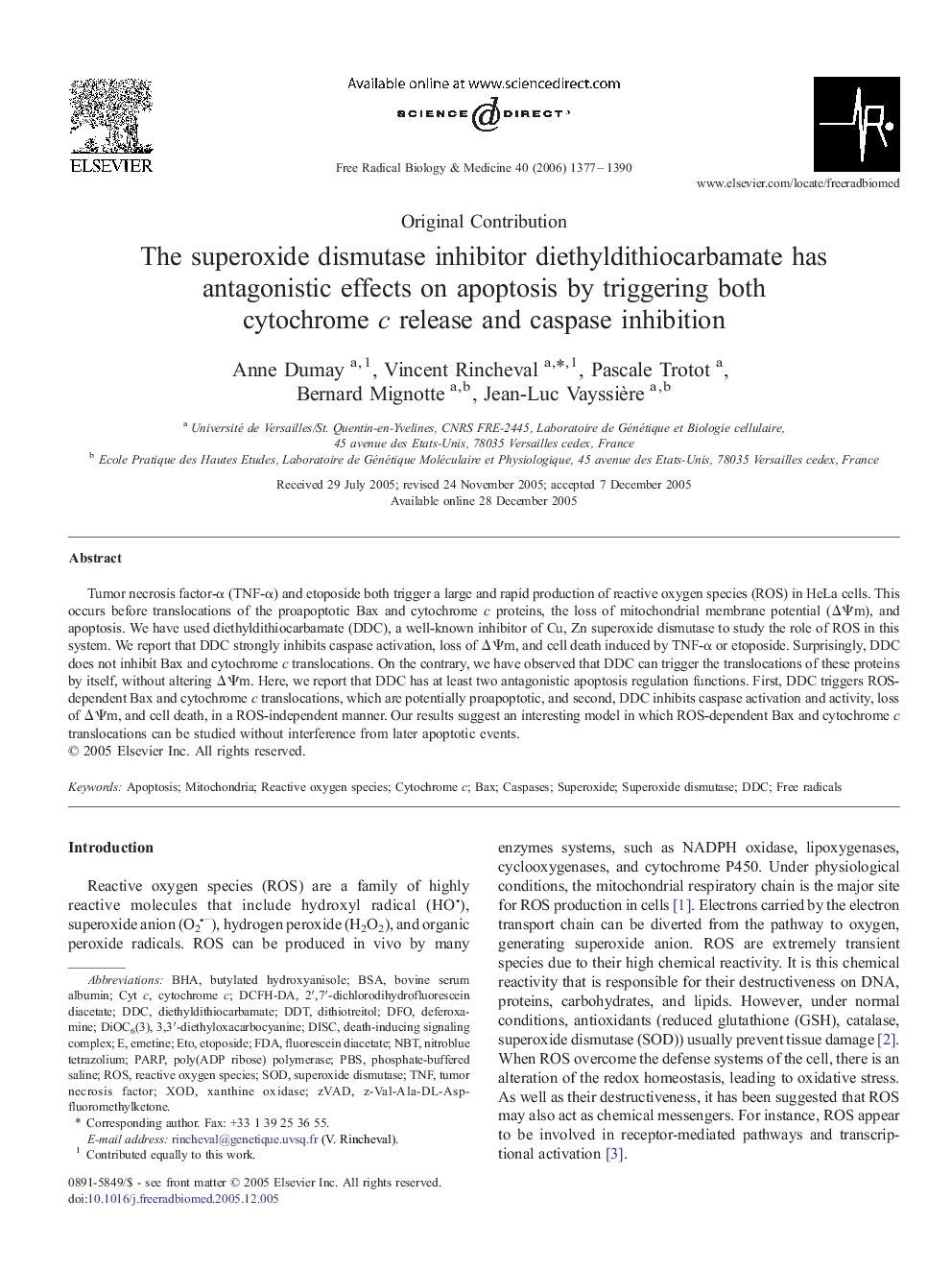 The superoxide dismutase inhibitor diethyldithiocarbamate has antagonistic effects on apoptosis by triggering both cytochrome c release and caspase inhibition