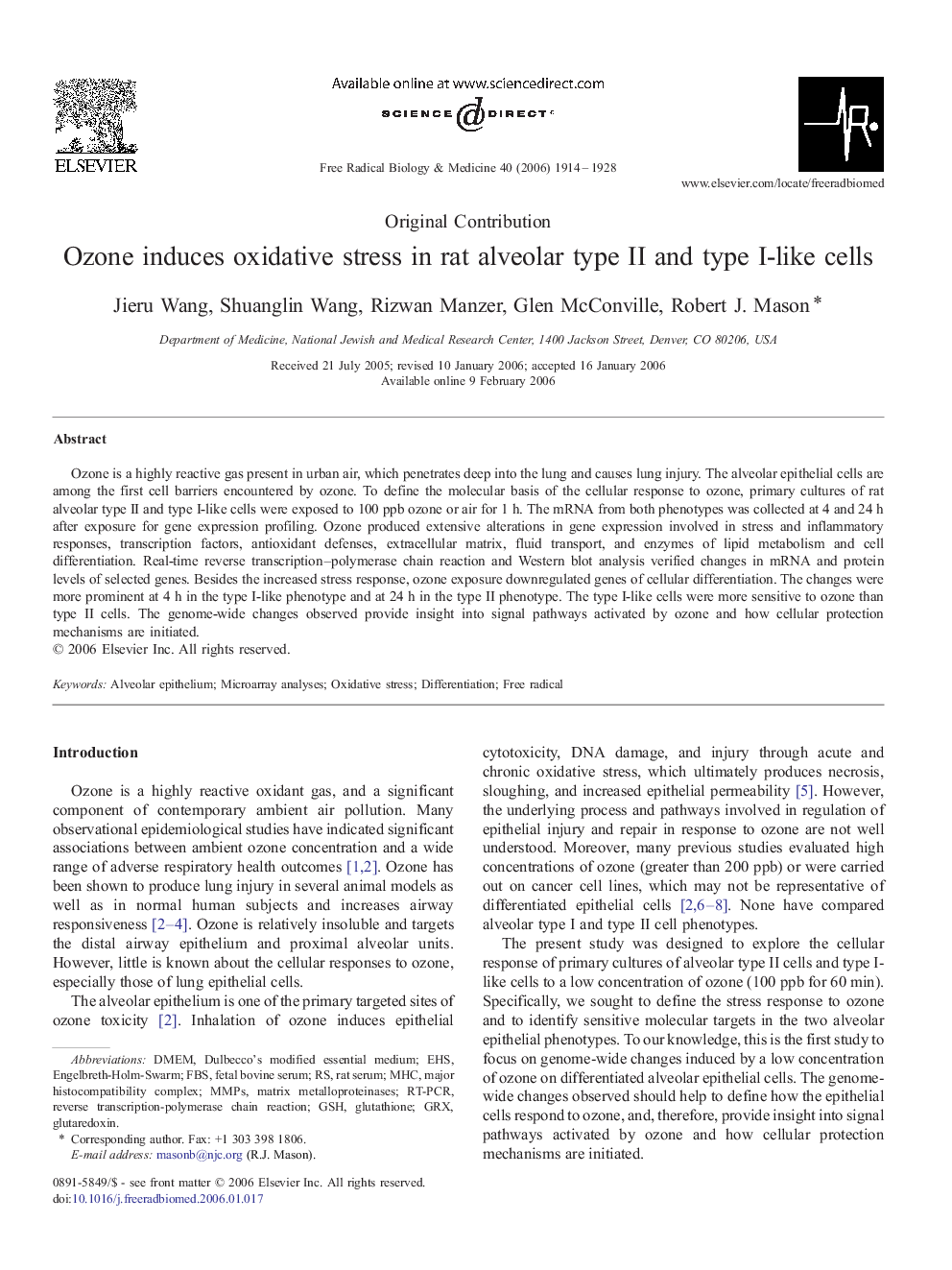 Ozone induces oxidative stress in rat alveolar type II and type I-like cells