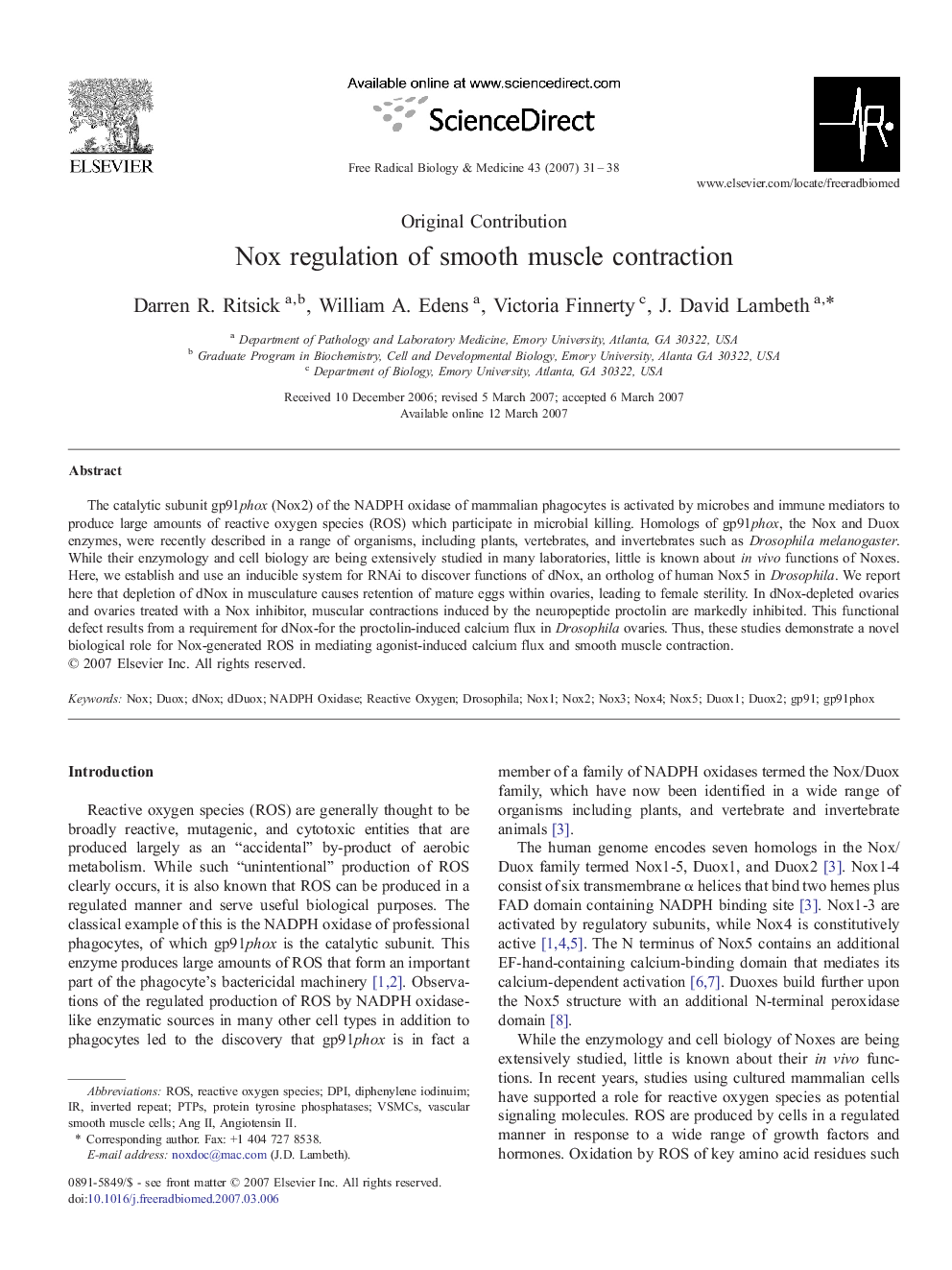 Nox regulation of smooth muscle contraction