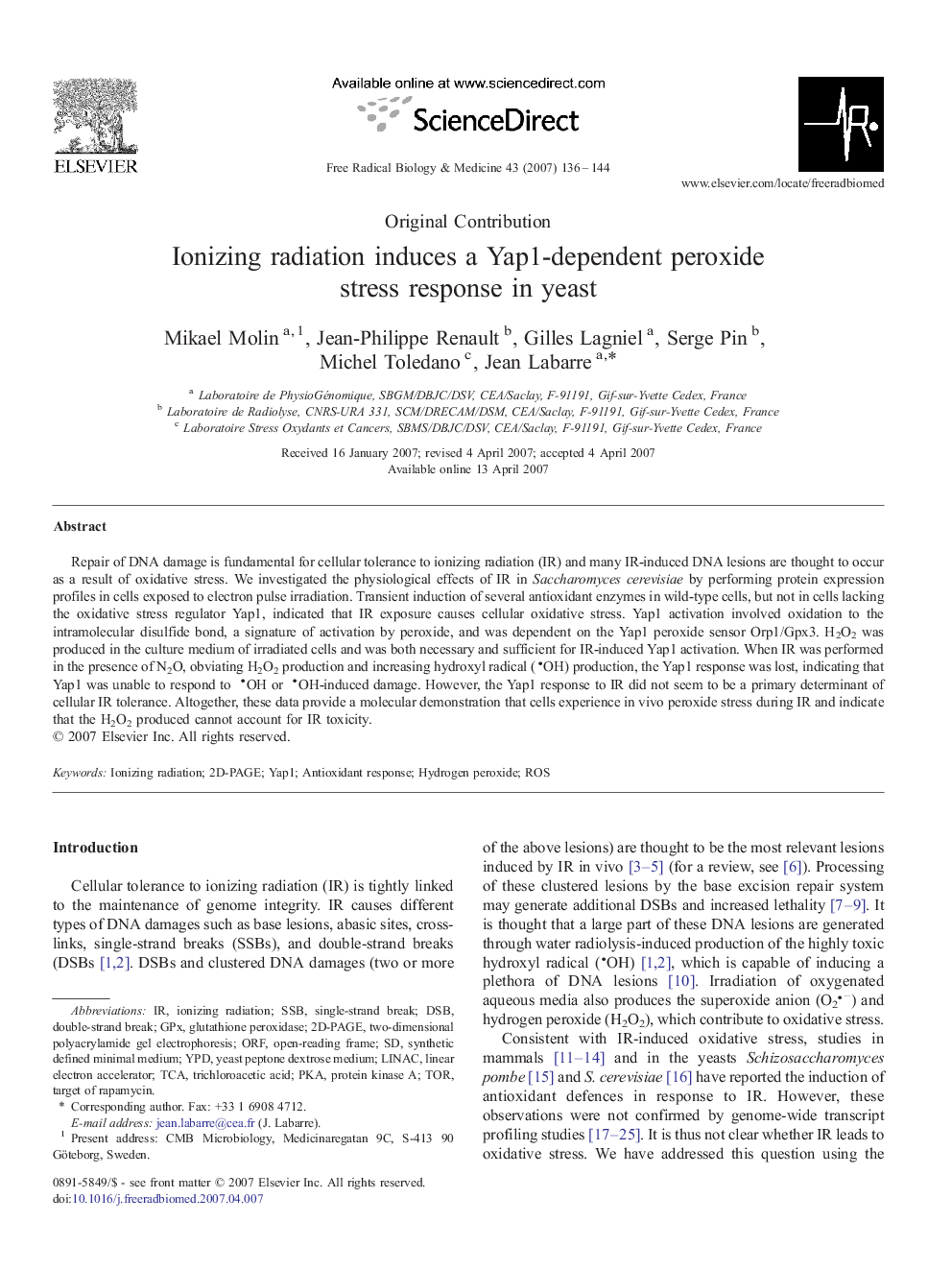 Ionizing radiation induces a Yap1-dependent peroxide stress response in yeast