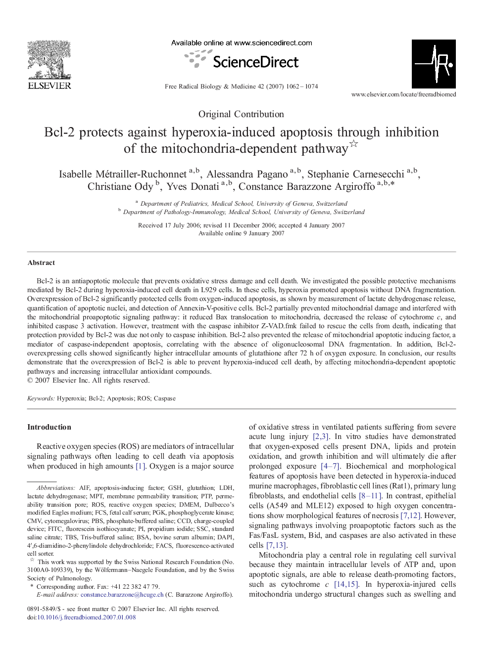 Bcl-2 protects against hyperoxia-induced apoptosis through inhibition of the mitochondria-dependent pathway 