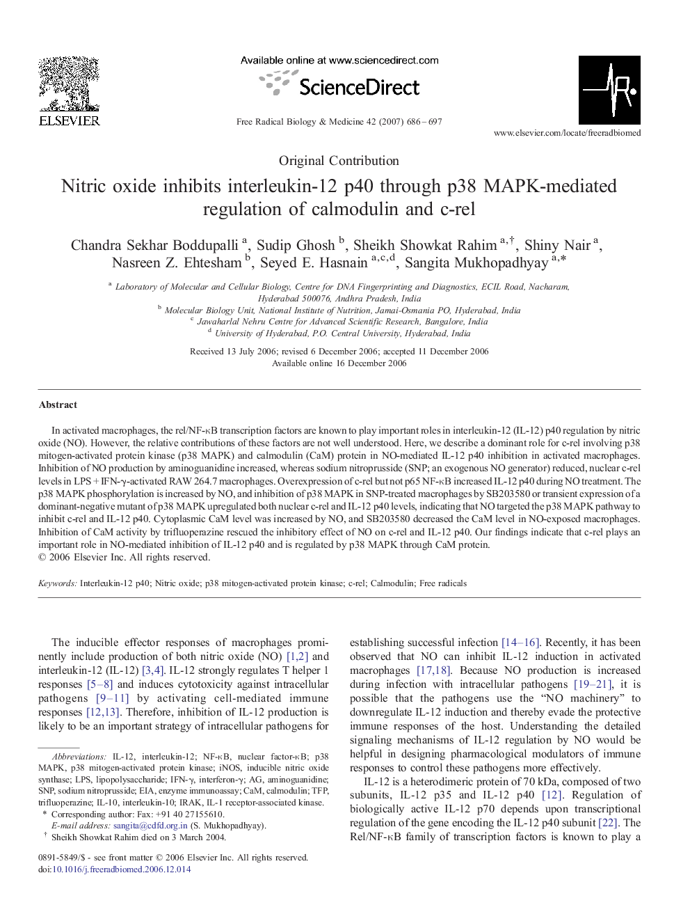 Nitric oxide inhibits interleukin-12 p40 through p38 MAPK-mediated regulation of calmodulin and c-rel