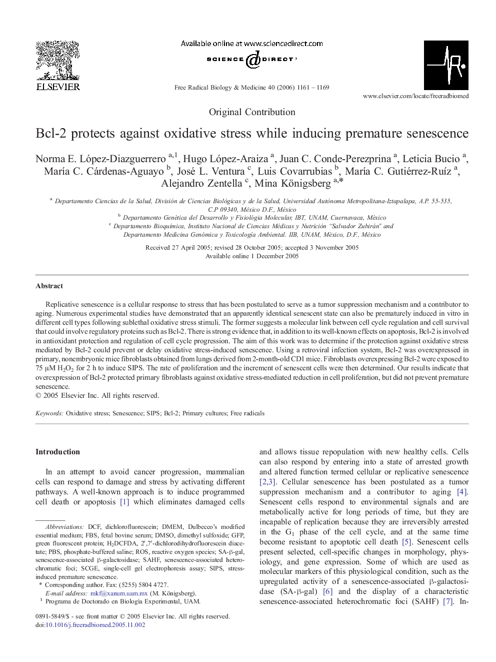 Bcl-2 protects against oxidative stress while inducing premature senescence