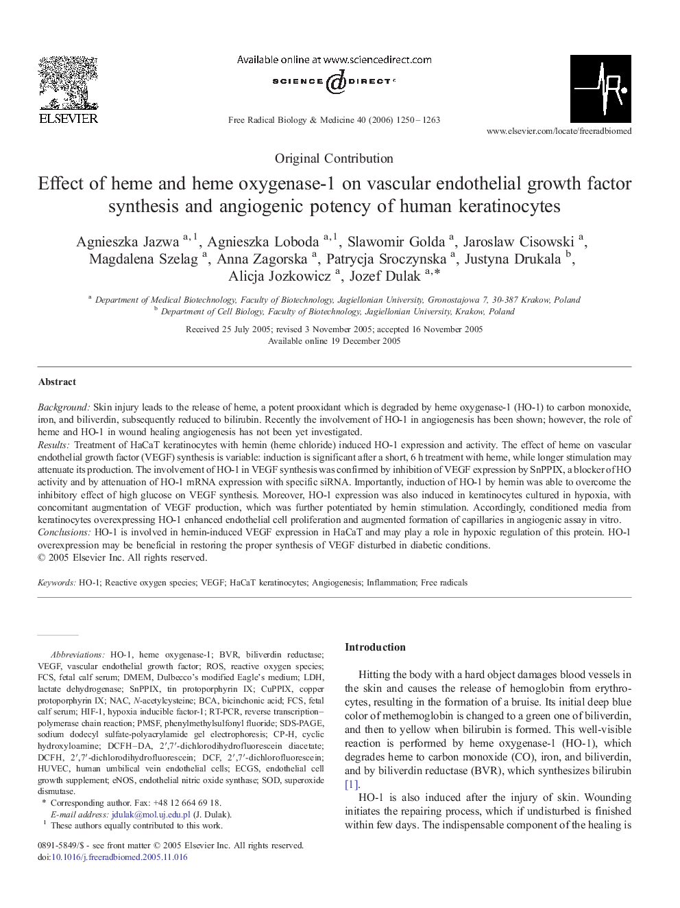 Effect of heme and heme oxygenase-1 on vascular endothelial growth factor synthesis and angiogenic potency of human keratinocytes