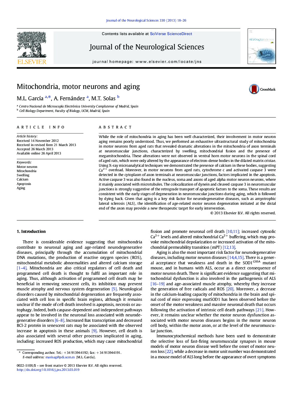 Mitochondria, motor neurons and aging