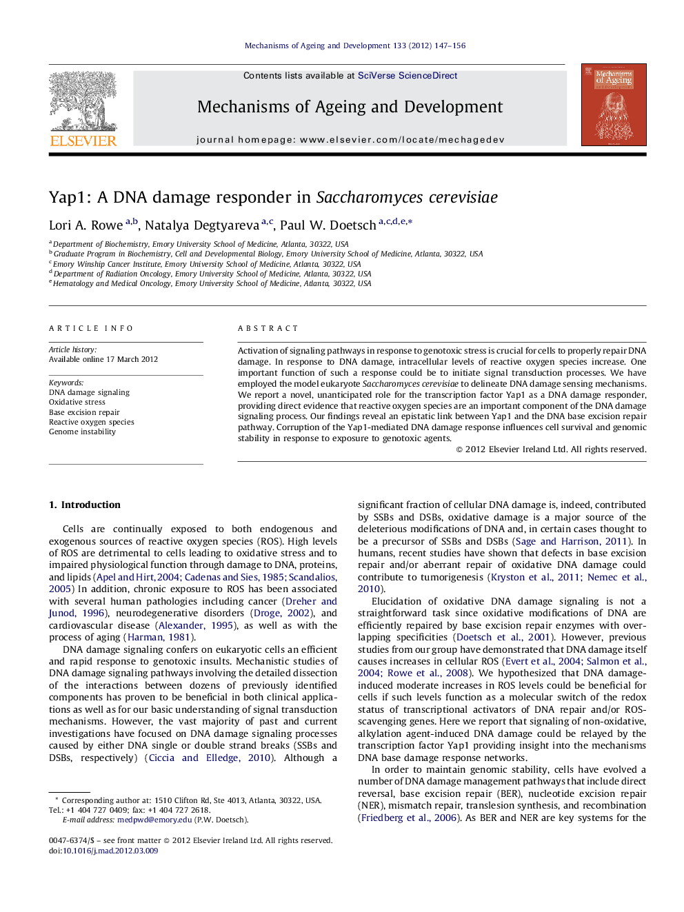 Yap1: A DNA damage responder in Saccharomyces cerevisiae