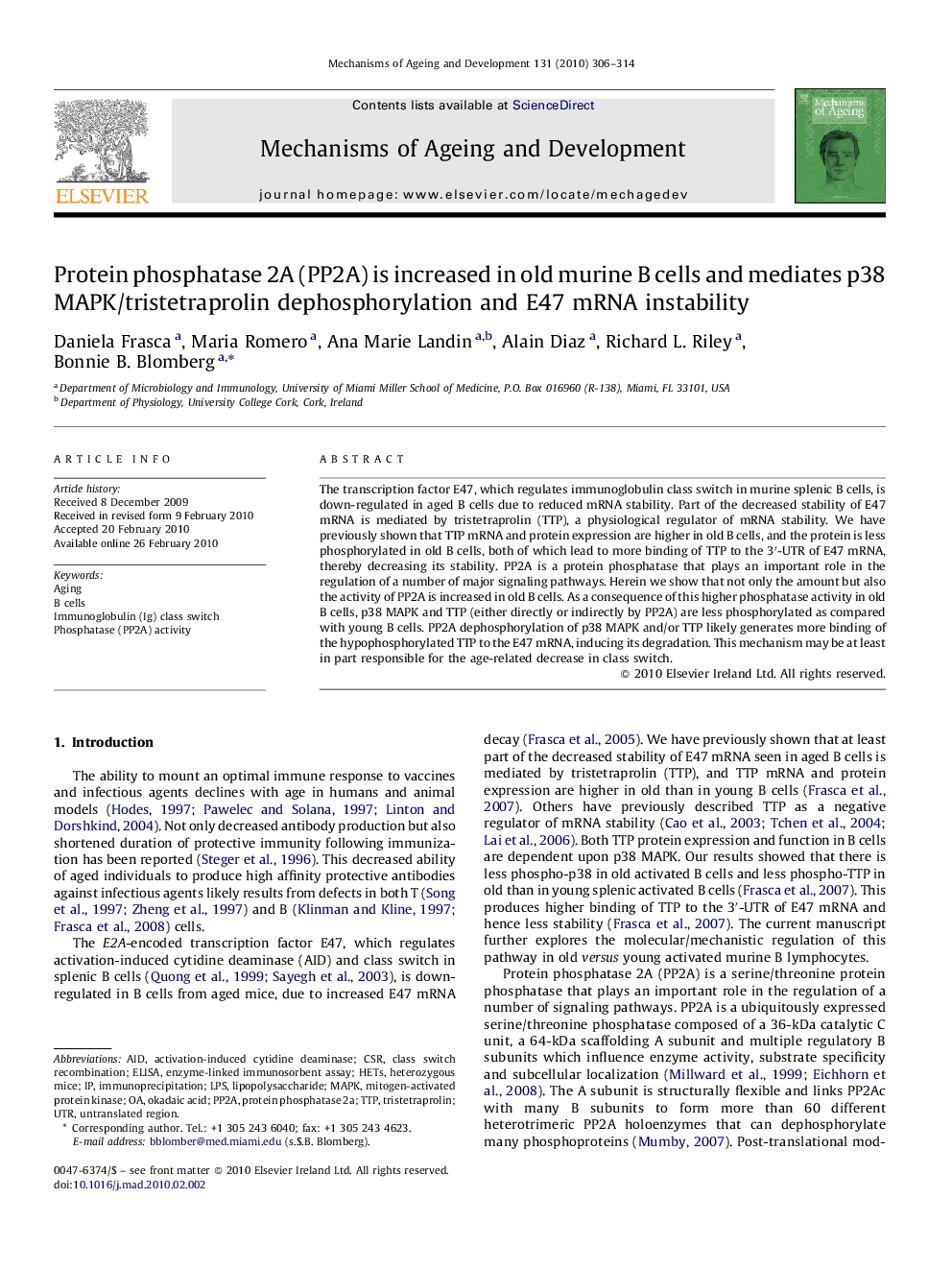 Protein phosphatase 2A (PP2A) is increased in old murine B cells and mediates p38 MAPK/tristetraprolin dephosphorylation and E47 mRNA instability