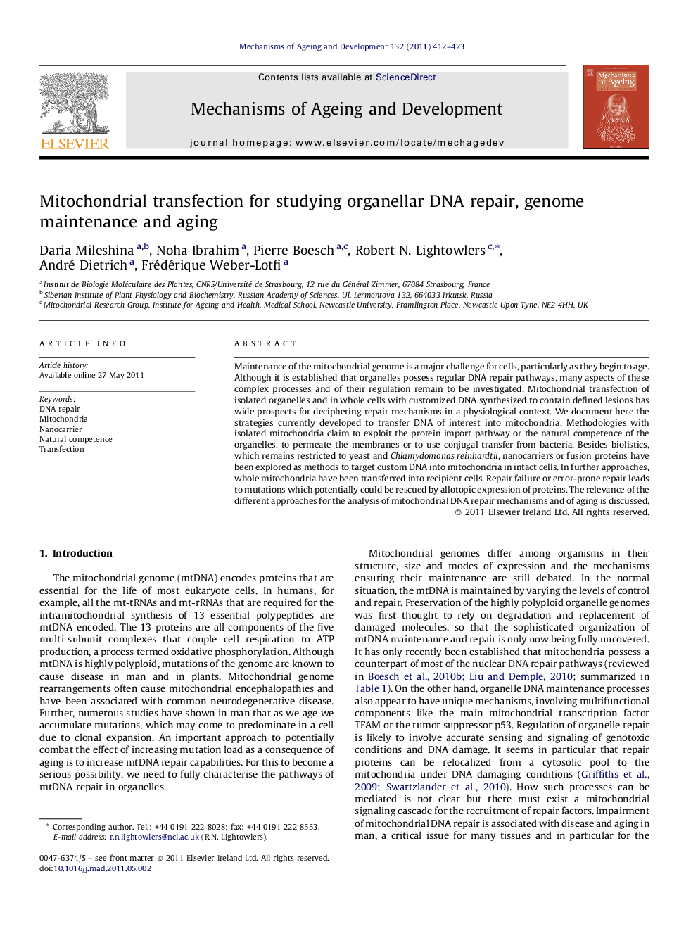 Mitochondrial transfection for studying organellar DNA repair, genome maintenance and aging