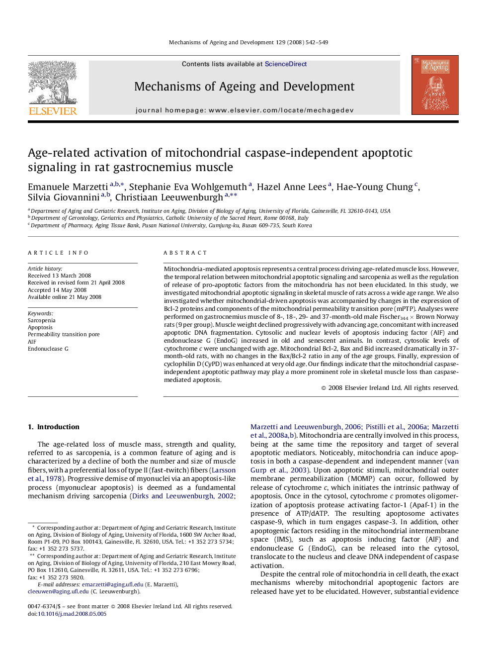 Age-related activation of mitochondrial caspase-independent apoptotic signaling in rat gastrocnemius muscle