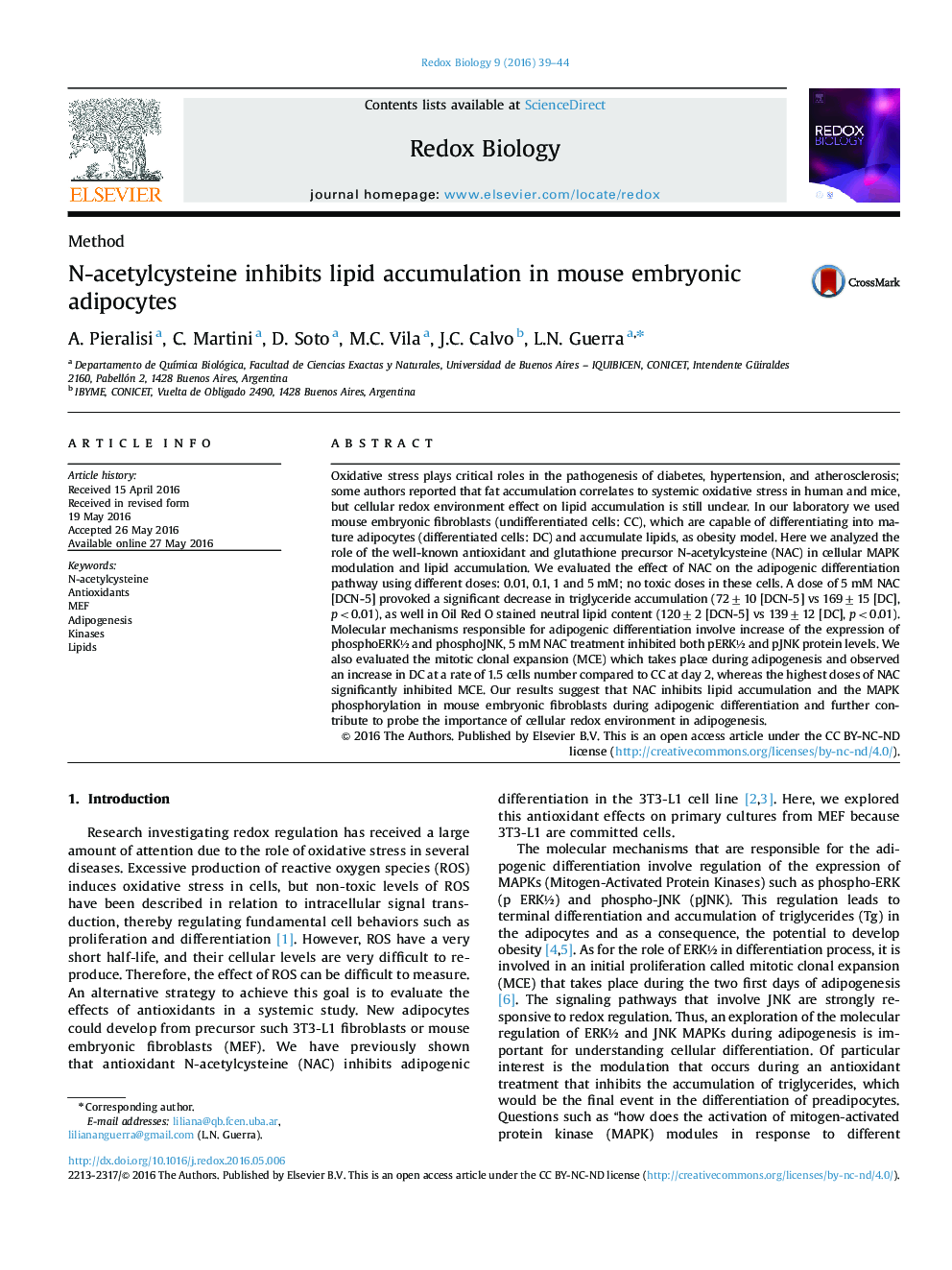 N-acetylcysteine inhibits lipid accumulation in mouse embryonic adipocytes