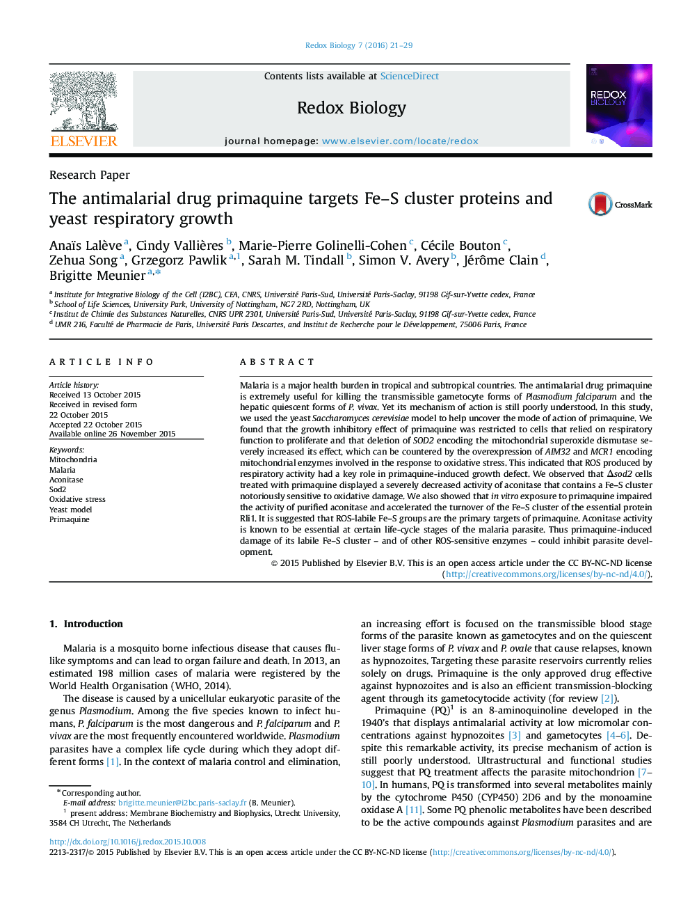 The antimalarial drug primaquine targets Fe–S cluster proteins and yeast respiratory growth