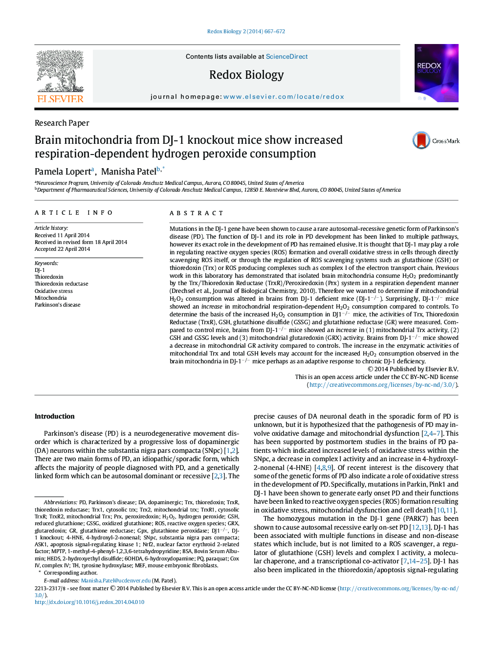 Brain mitochondria from DJ-1 knockout mice show increased respiration-dependent hydrogen peroxide consumption