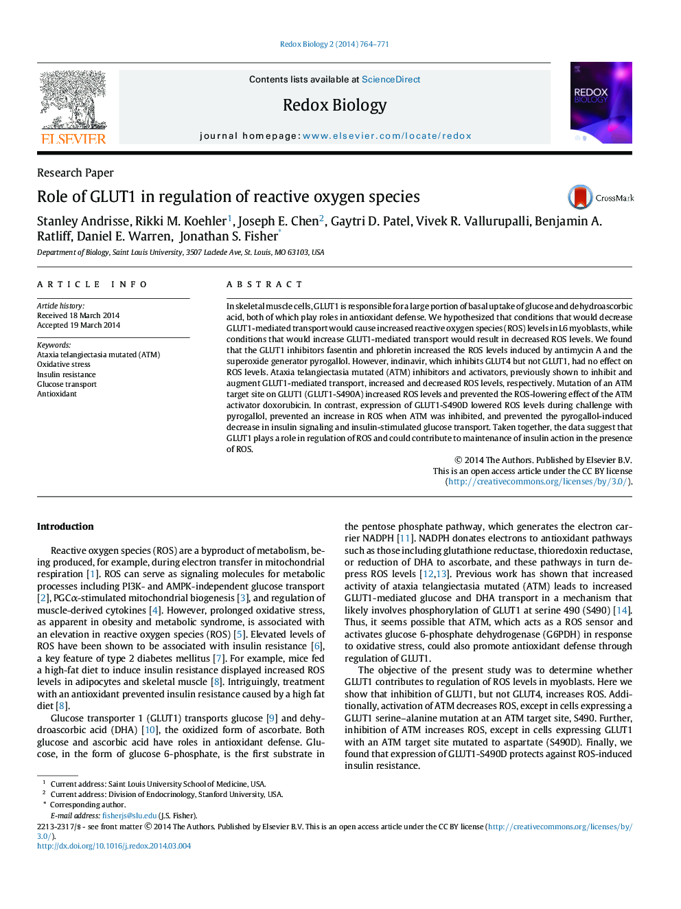 Role of GLUT1 in regulation of reactive oxygen species