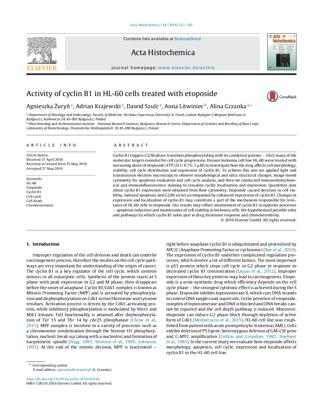 Activity of cyclin B1 in HL-60 cells treated with etoposide