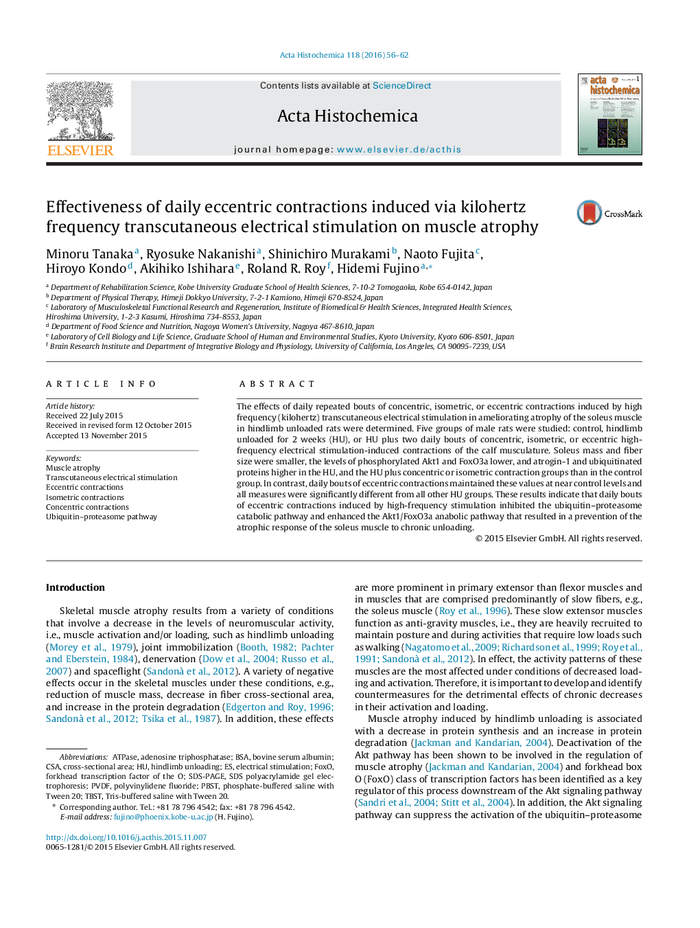 Effectiveness of daily eccentric contractions induced via kilohertz frequency transcutaneous electrical stimulation on muscle atrophy