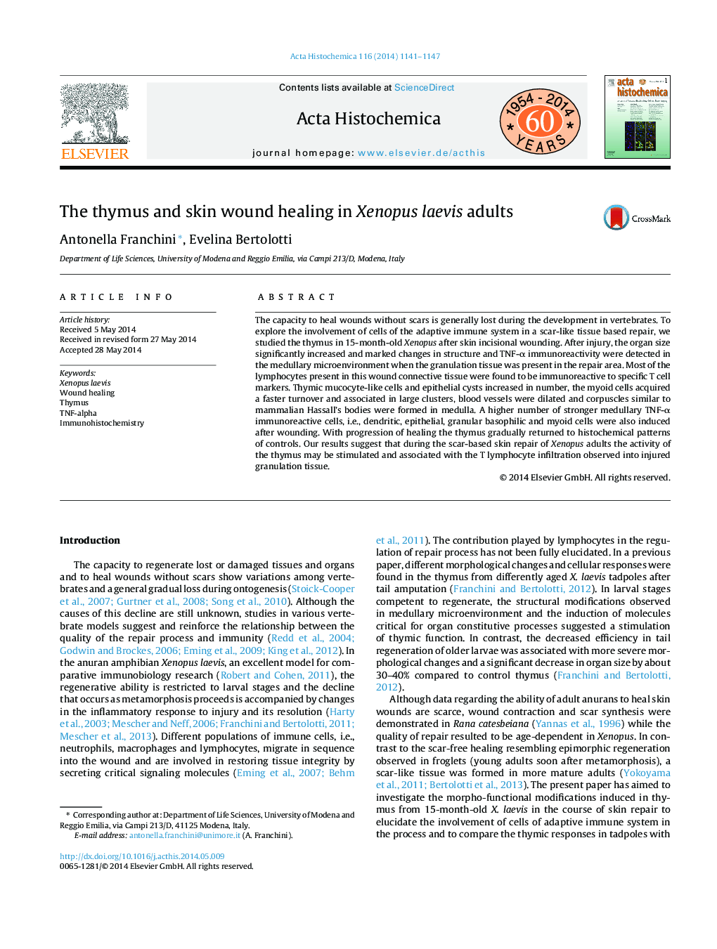 The thymus and skin wound healing in Xenopus laevis adults