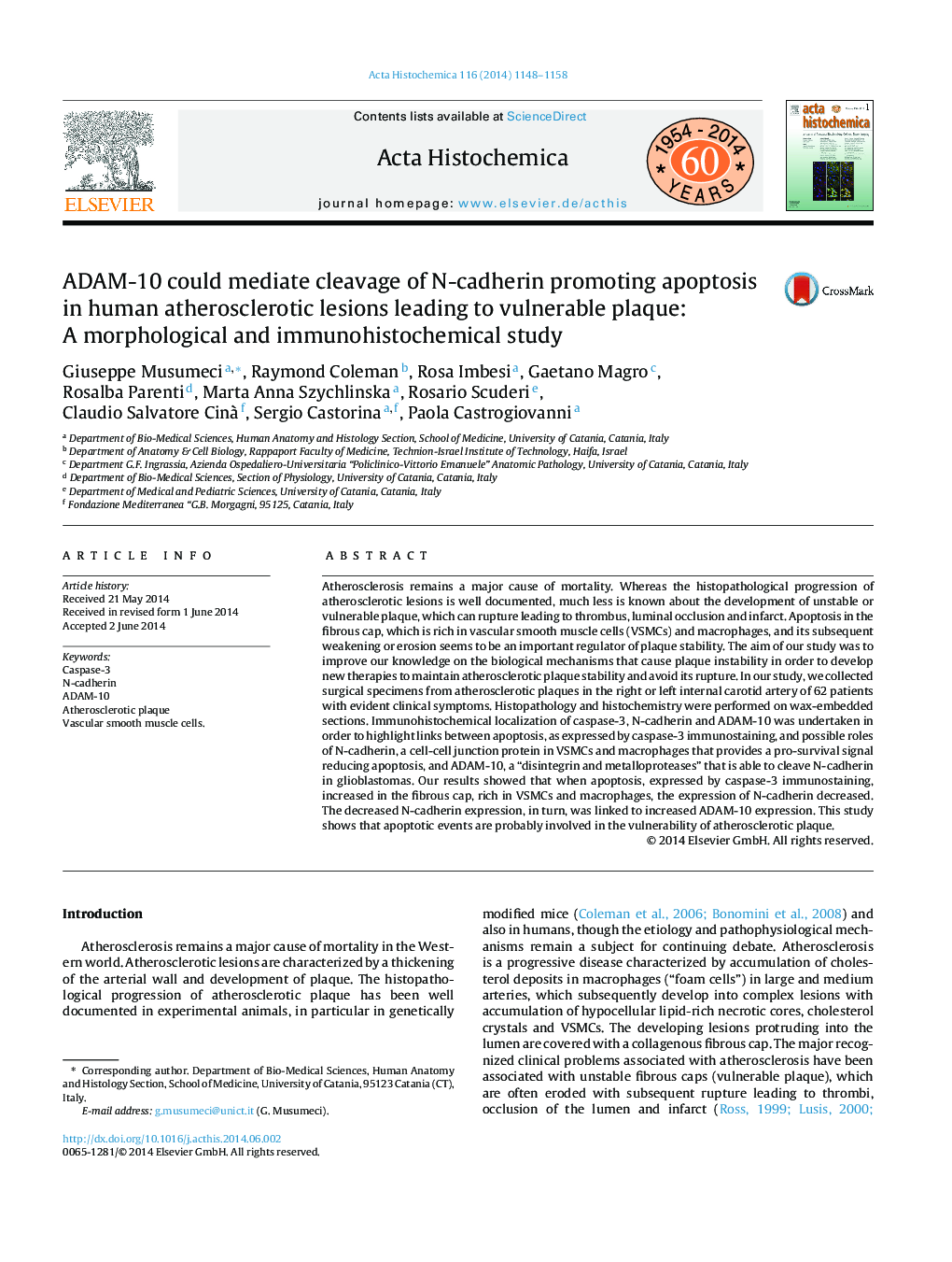 ADAM-10 could mediate cleavage of N-cadherin promoting apoptosis in human atherosclerotic lesions leading to vulnerable plaque: A morphological and immunohistochemical study