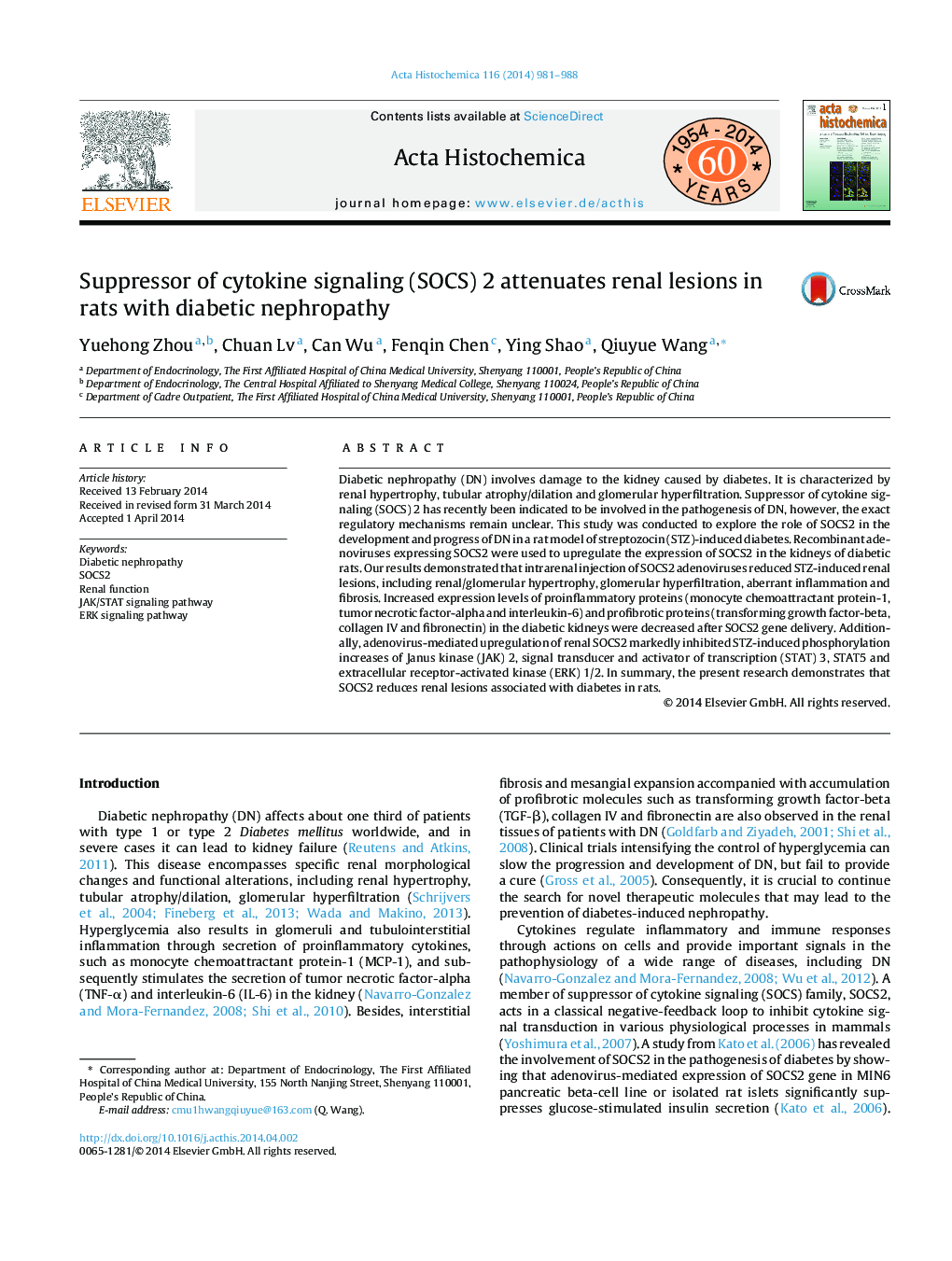 Suppressor of cytokine signaling (SOCS) 2 attenuates renal lesions in rats with diabetic nephropathy