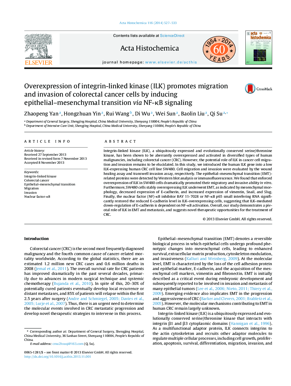 Overexpression of integrin-linked kinase (ILK) promotes migration and invasion of colorectal cancer cells by inducing epithelial–mesenchymal transition via NF-κB signaling