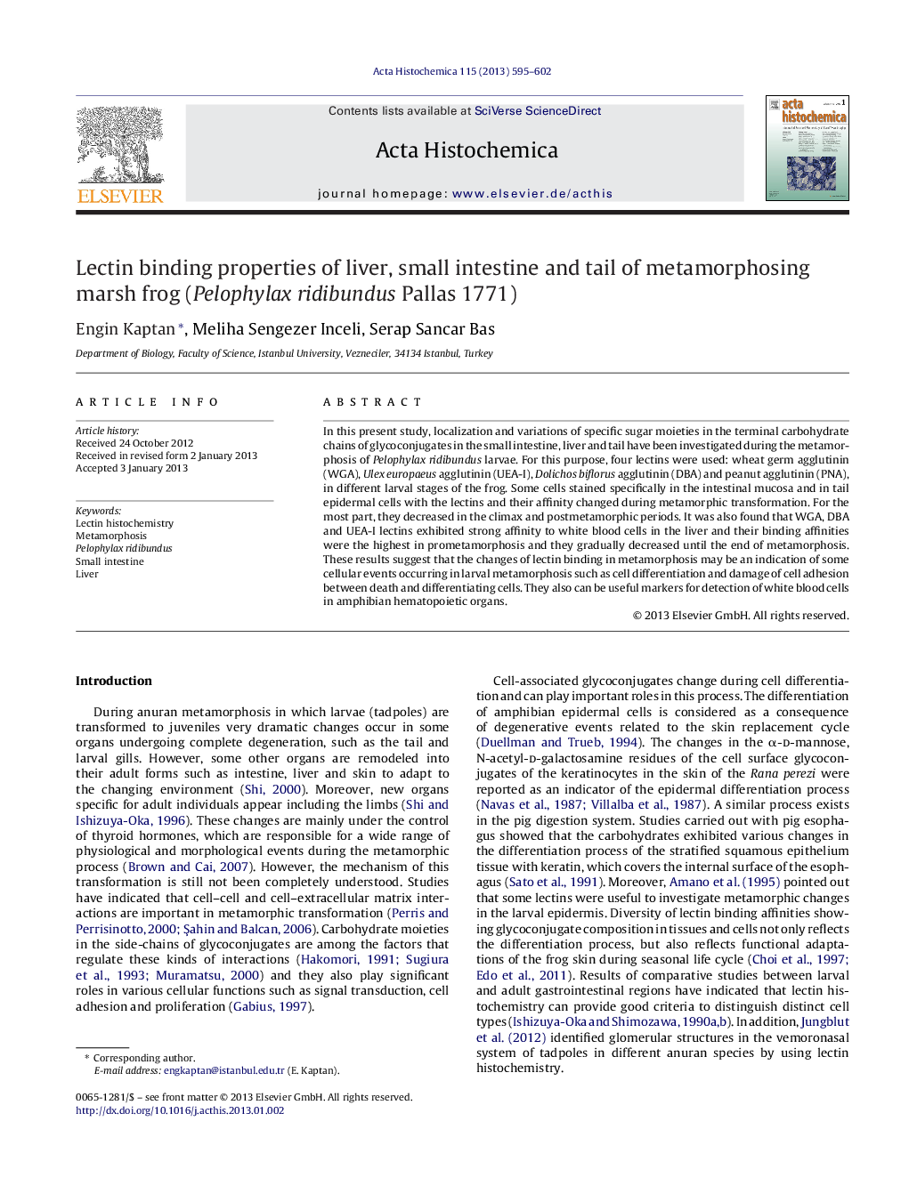 Lectin binding properties of liver, small intestine and tail of metamorphosing marsh frog (Pelophylax ridibundus Pallas 1771)