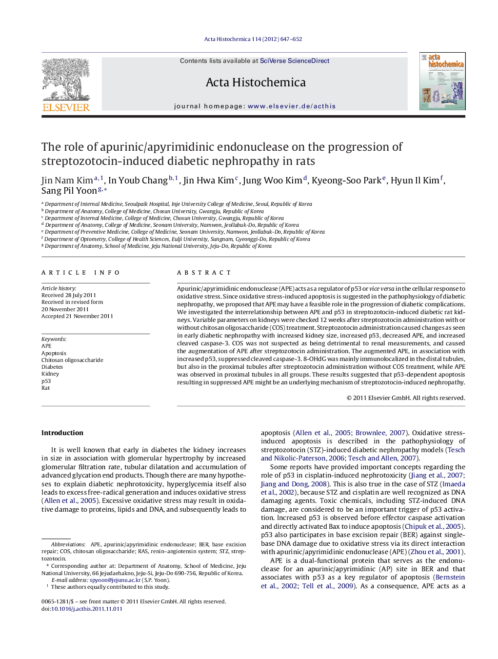 The role of apurinic/apyrimidinic endonuclease on the progression of streptozotocin-induced diabetic nephropathy in rats