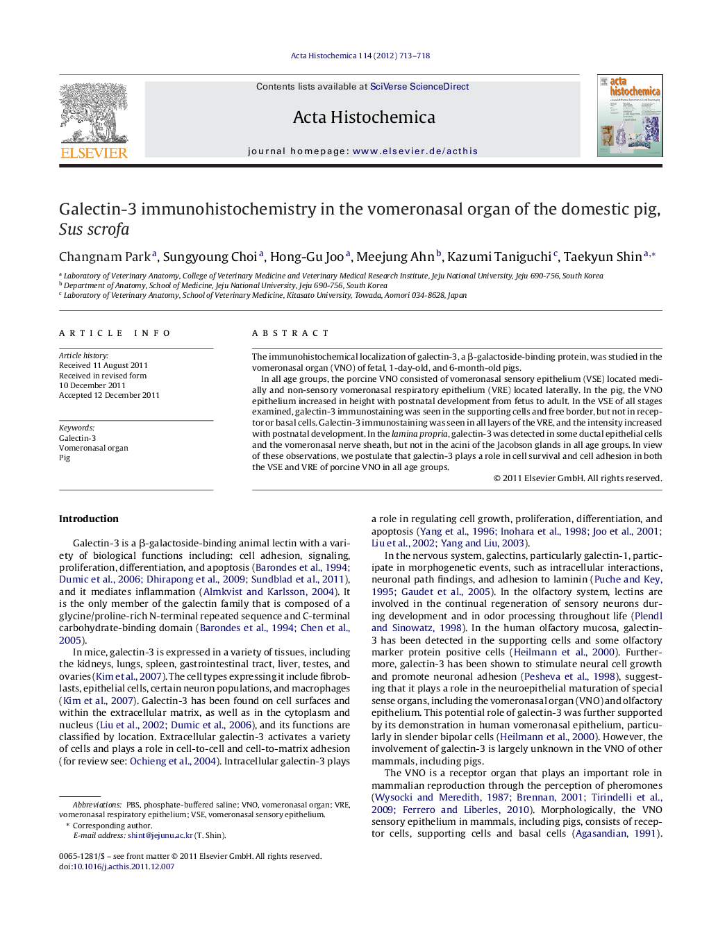 Galectin-3 immunohistochemistry in the vomeronasal organ of the domestic pig, Sus scrofa