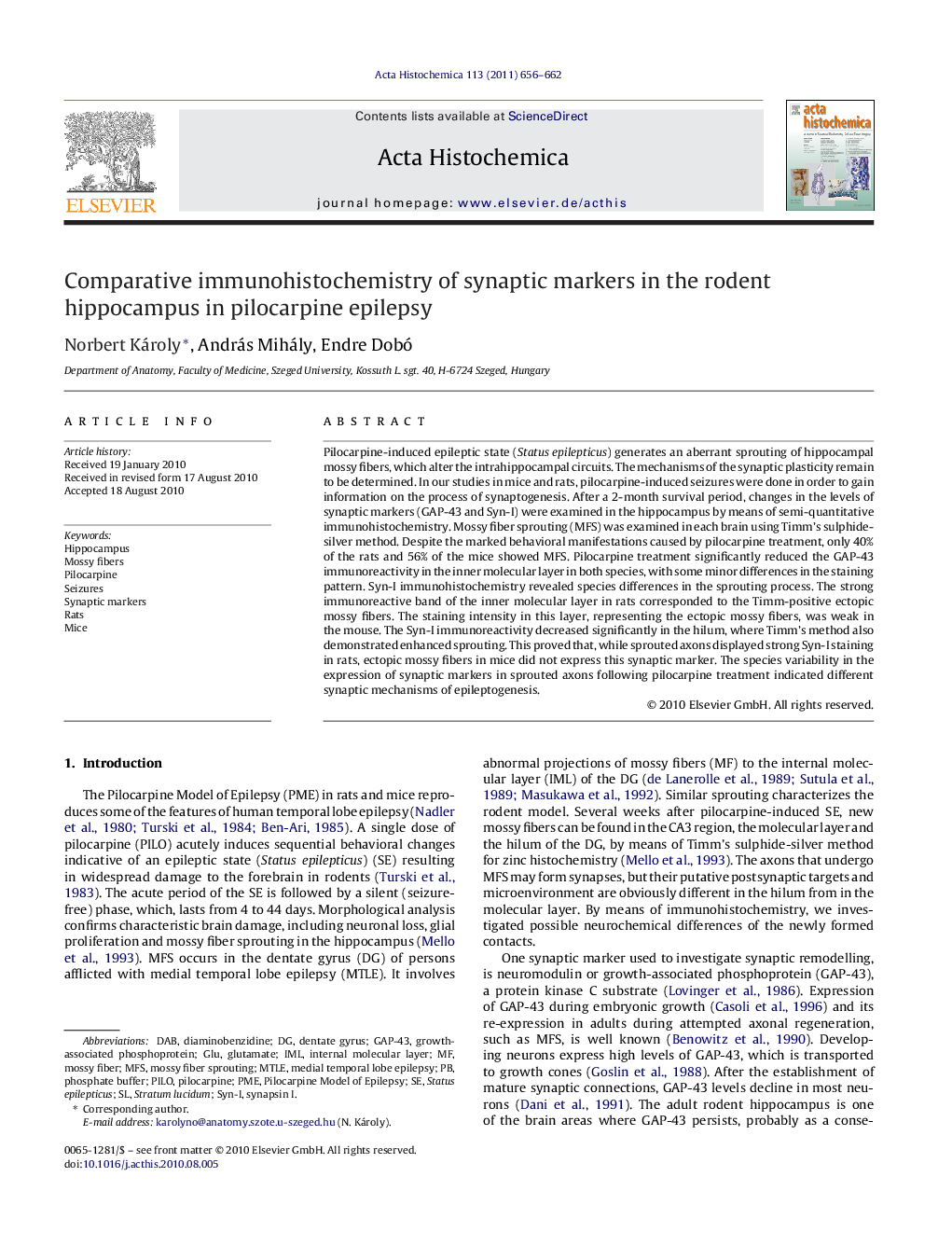 Comparative immunohistochemistry of synaptic markers in the rodent hippocampus in pilocarpine epilepsy