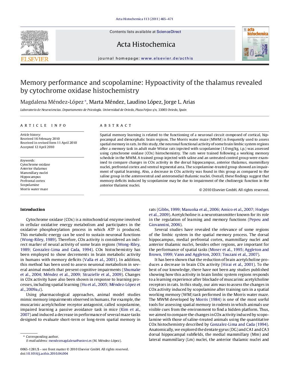 Memory performance and scopolamine: Hypoactivity of the thalamus revealed by cytochrome oxidase histochemistry