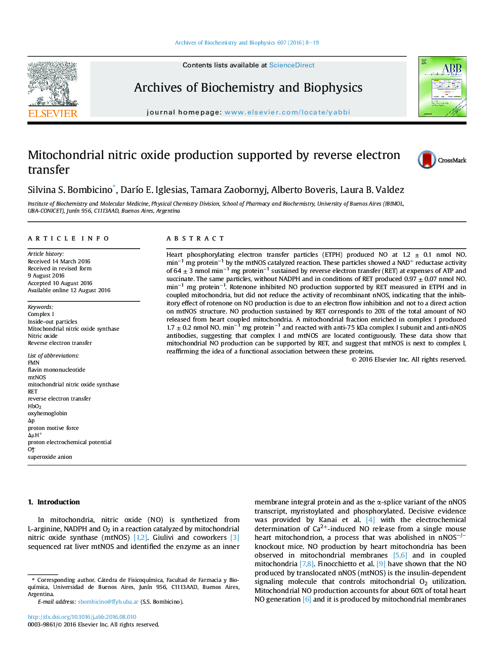 Mitochondrial nitric oxide production supported by reverse electron transfer