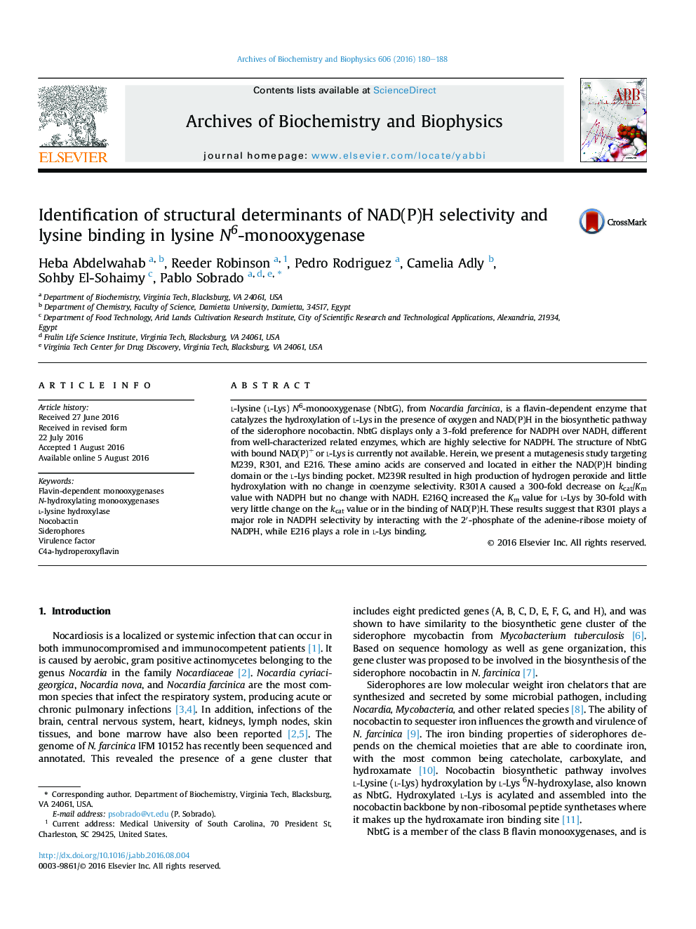 Identification of structural determinants of NAD(P)H selectivity and lysine binding in lysine N6-monooxygenase