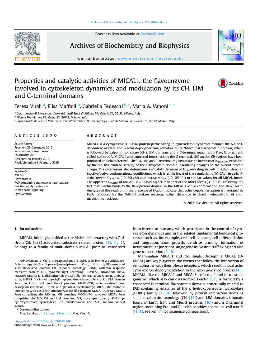 Properties and catalytic activities of MICAL1, the flavoenzyme involved in cytoskeleton dynamics, and modulation by its CH, LIM and C-terminal domains