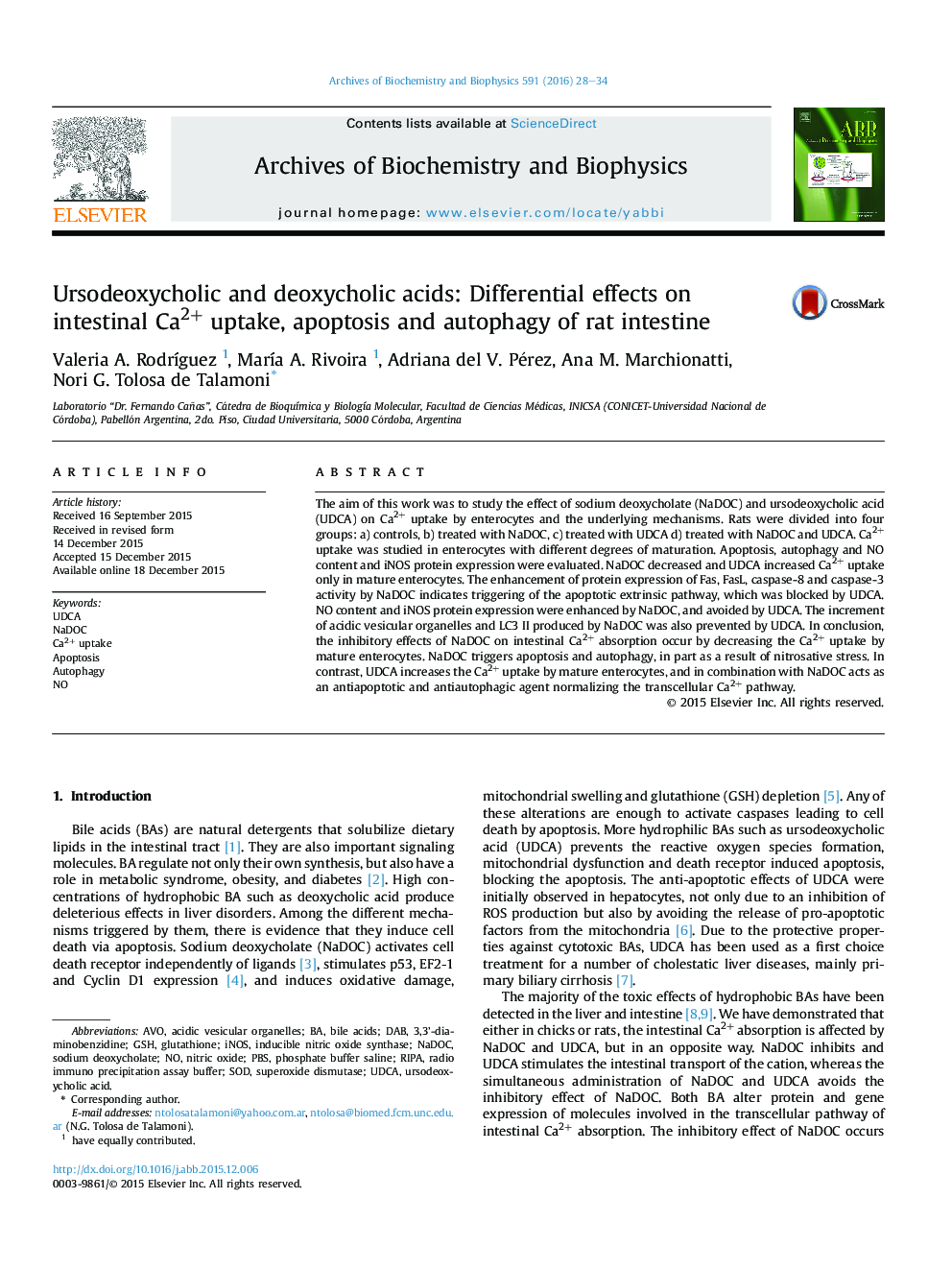 Ursodeoxycholic and deoxycholic acids: Differential effects on intestinal Ca2+ uptake, apoptosis and autophagy of rat intestine