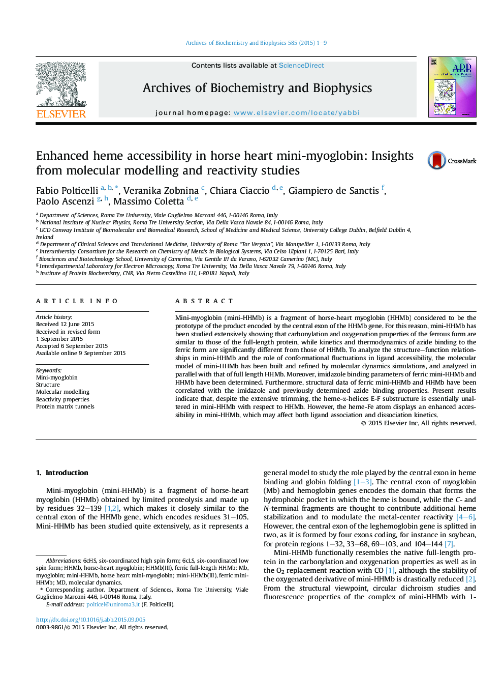 Enhanced heme accessibility in horse heart mini-myoglobin: Insights from molecular modelling and reactivity studies