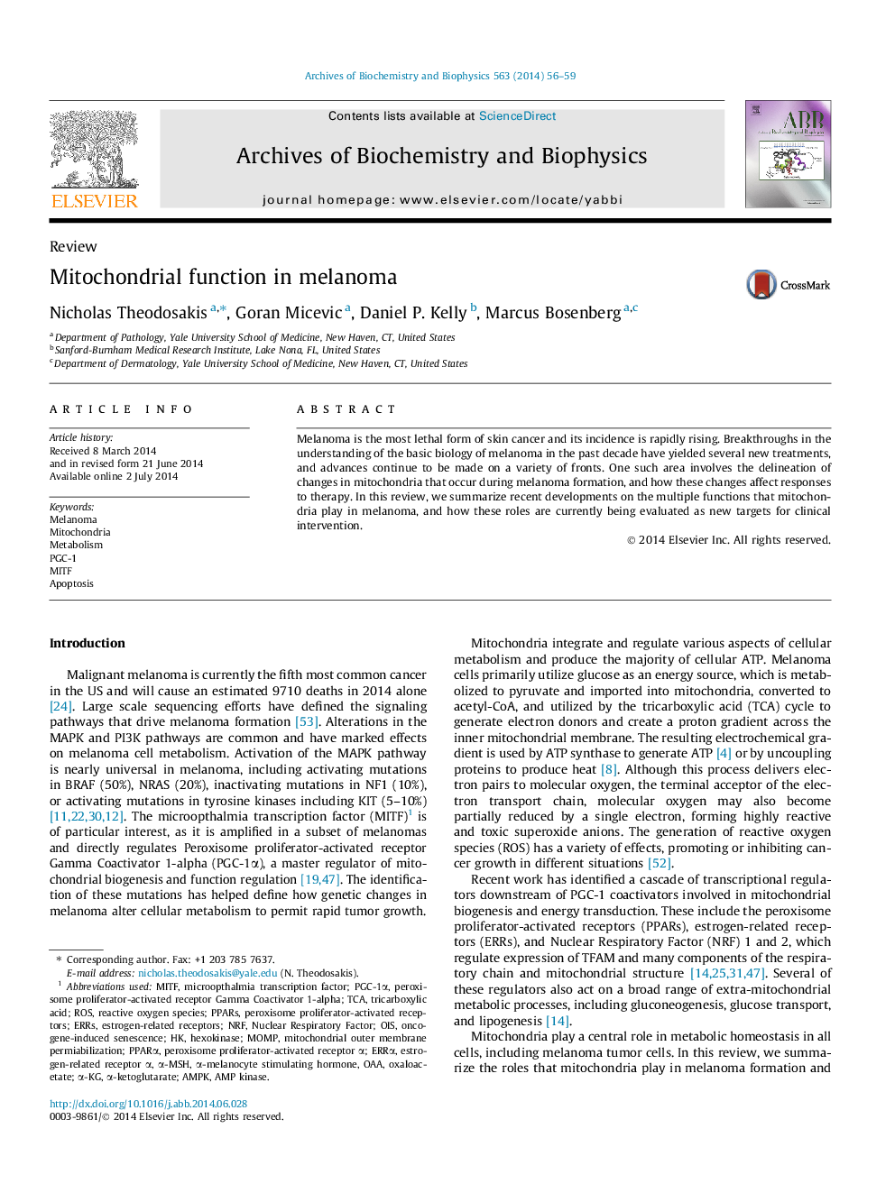 Mitochondrial function in melanoma